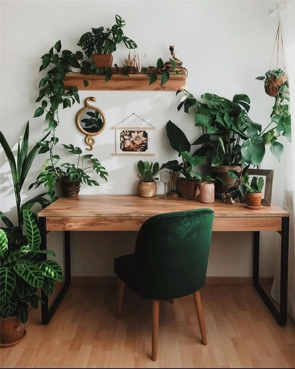 Houseplant Decor Ideas