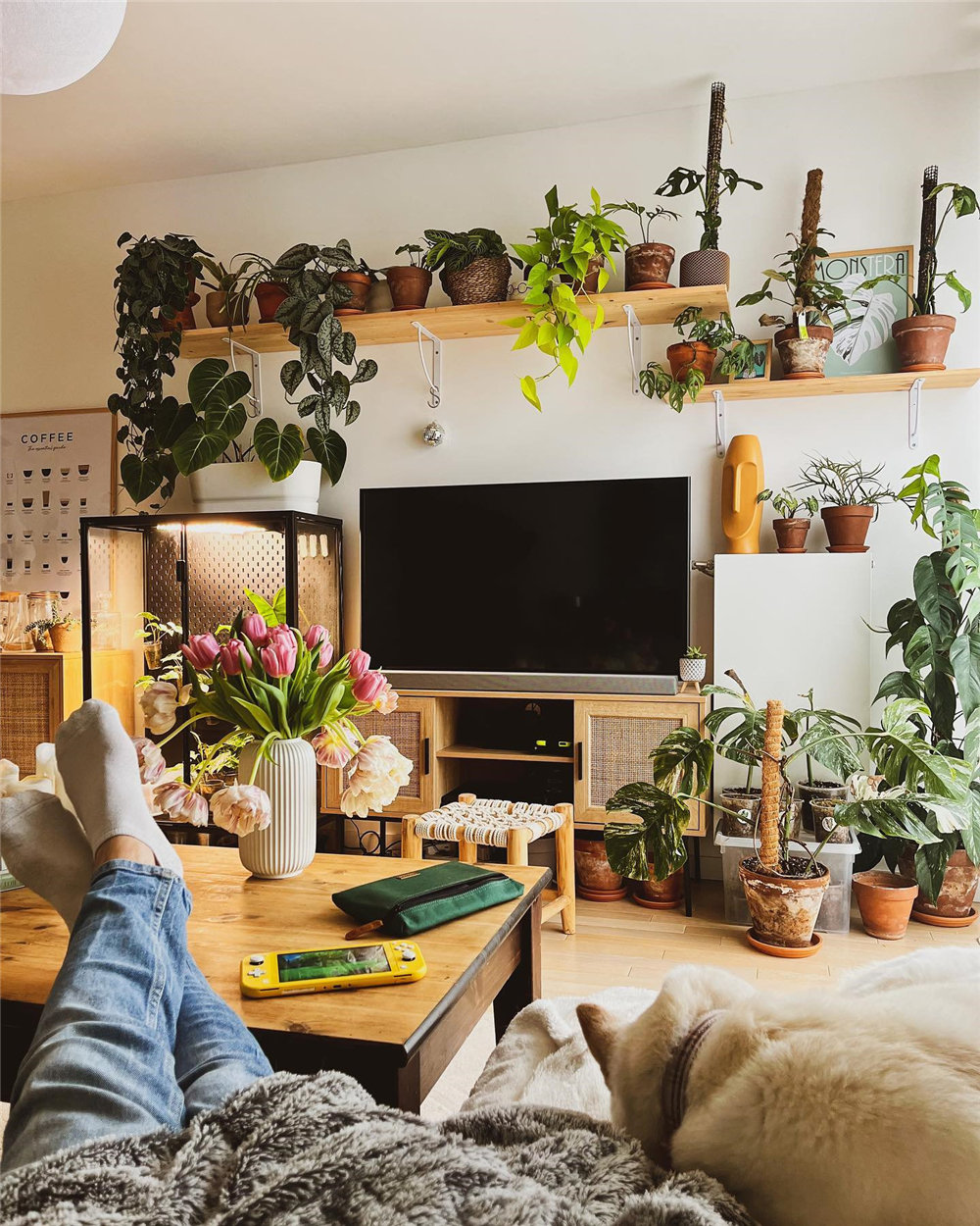 Houseplant Decor Ideas