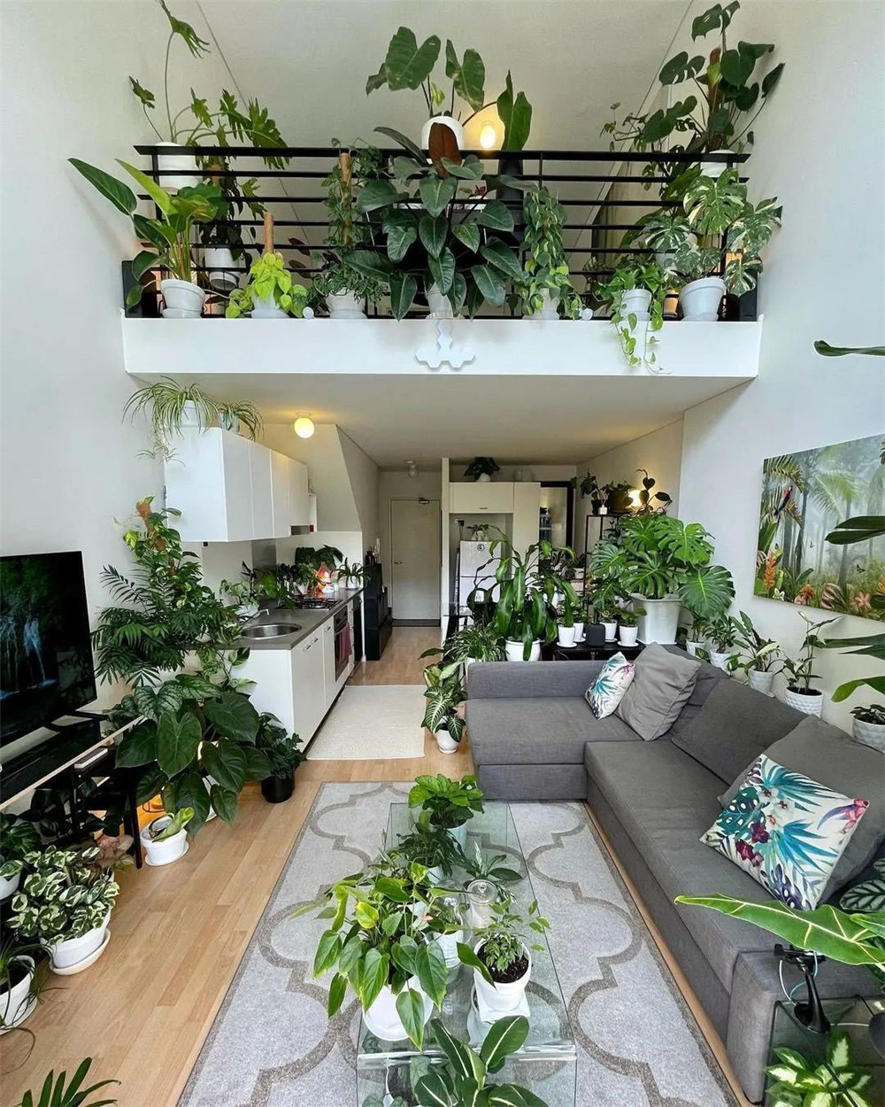 Houseplant Decor Ideas
