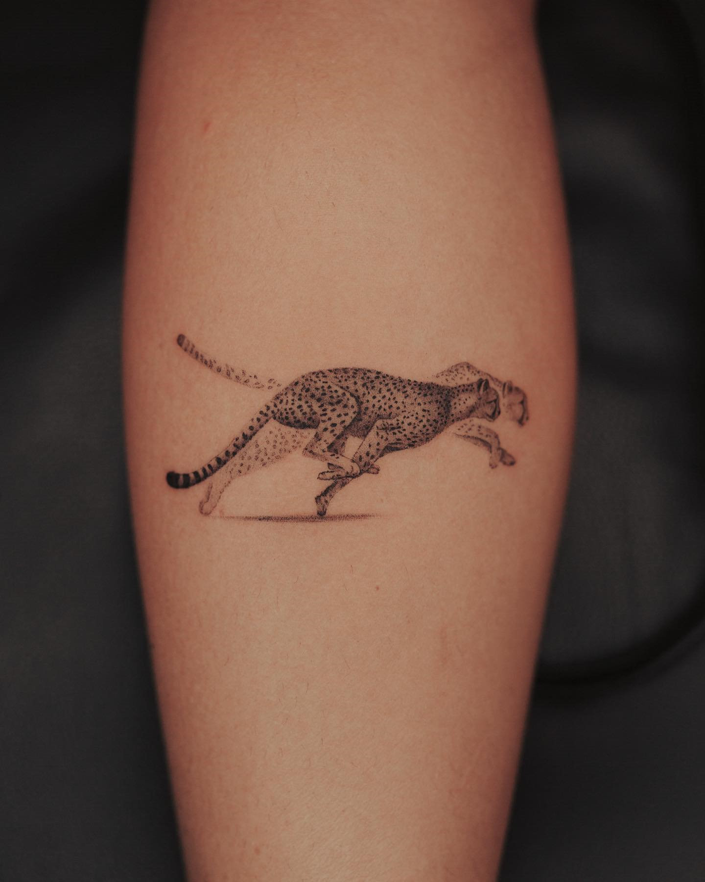 leopard tattoos