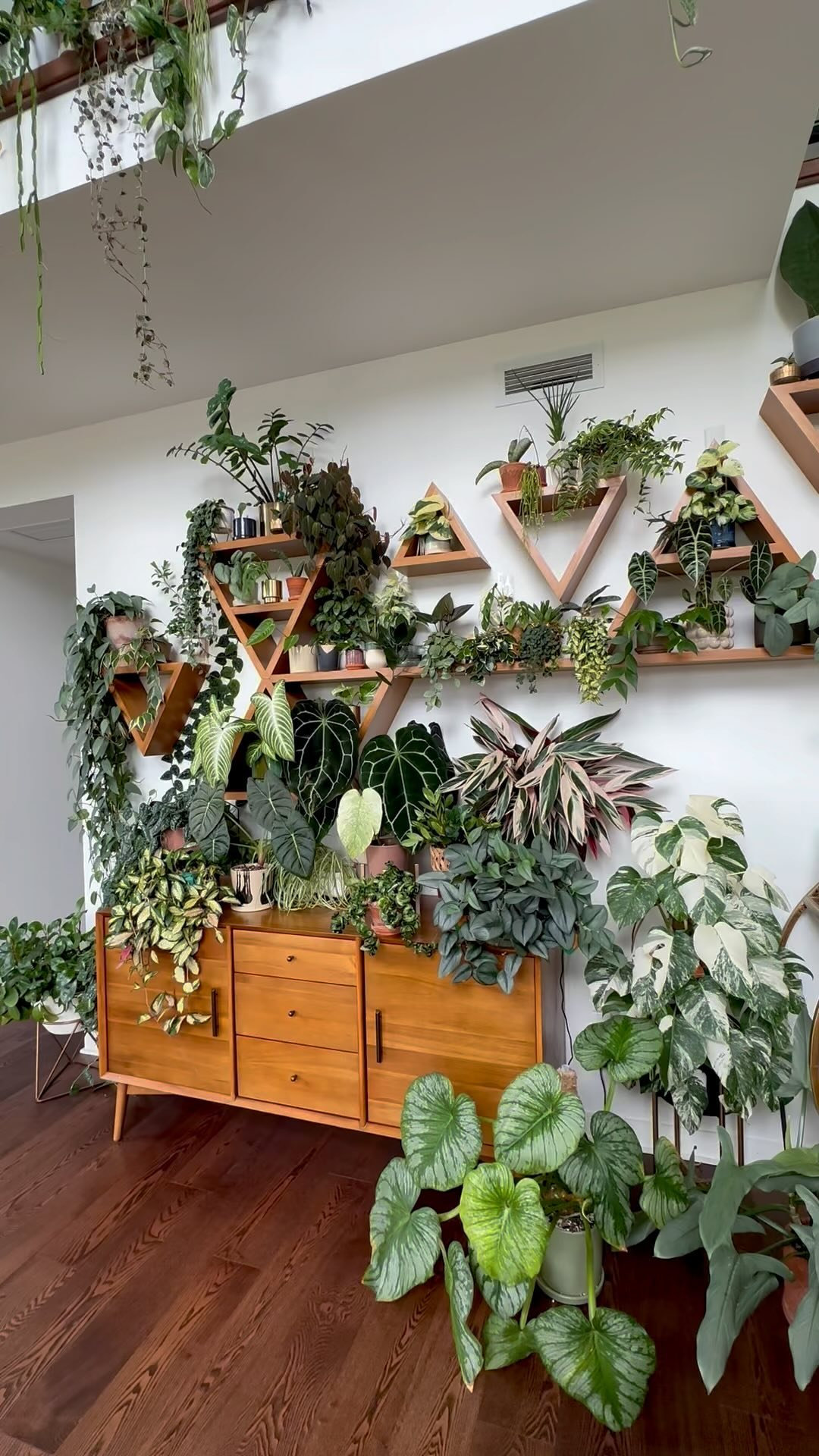 Indoor Plants Decor