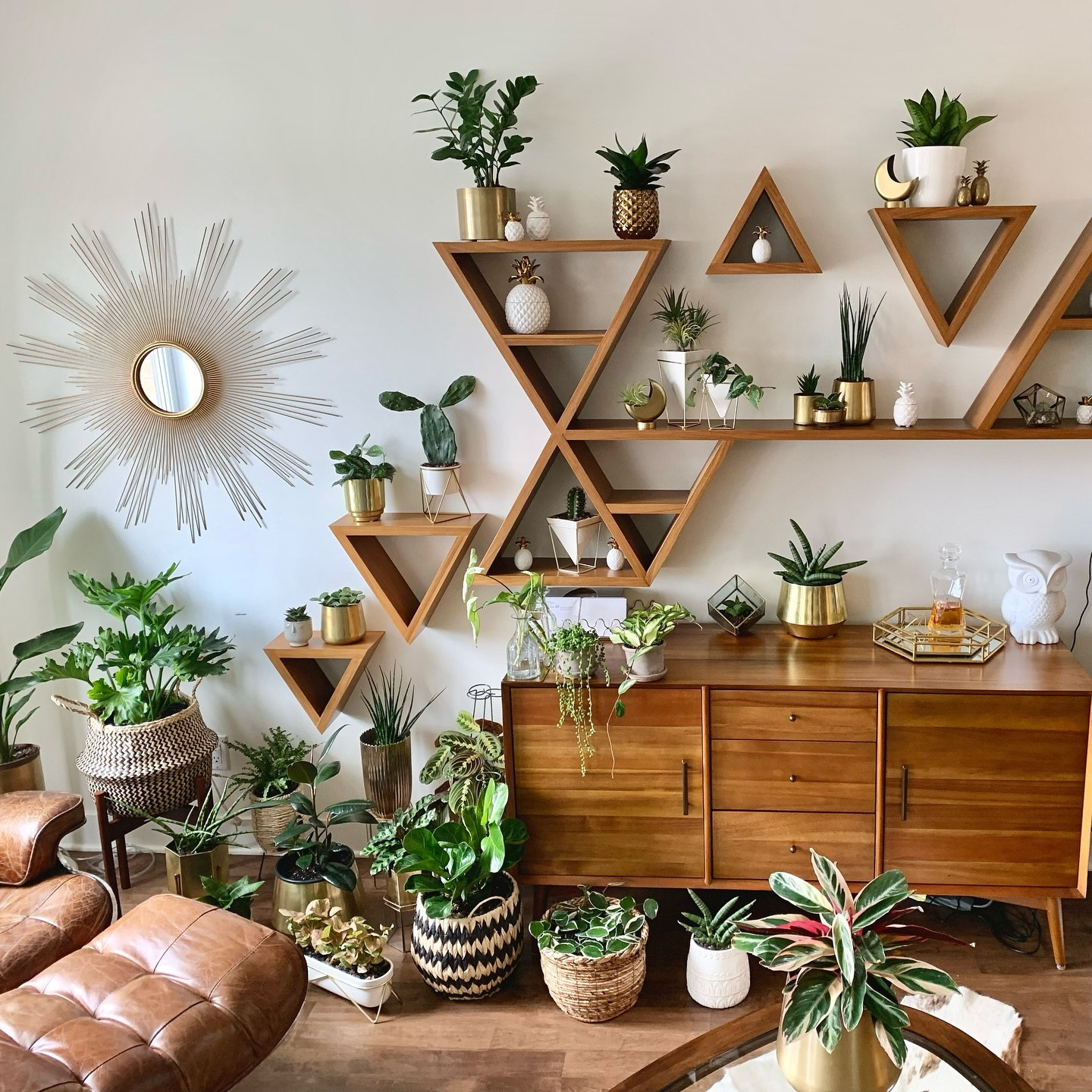 Indoor Plants Decor