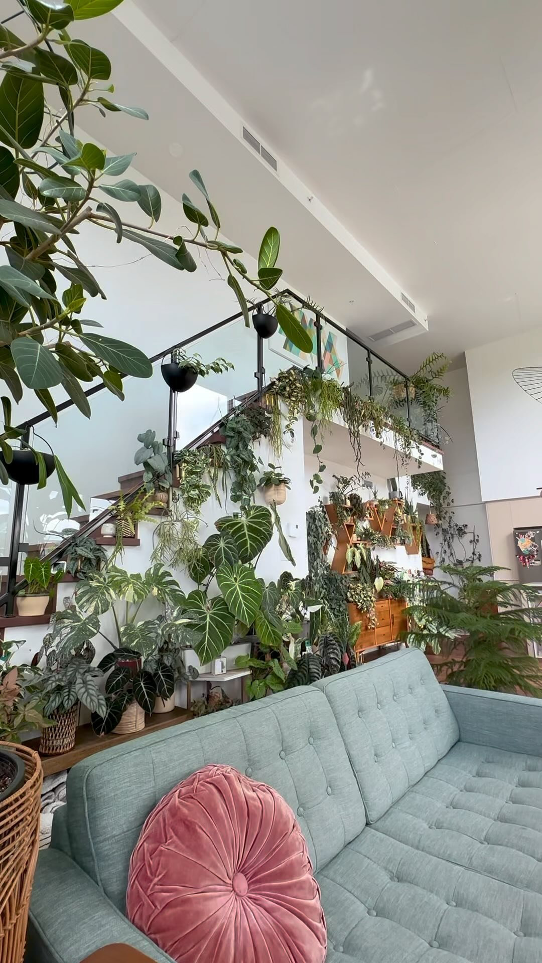 Indoor Plants Decor