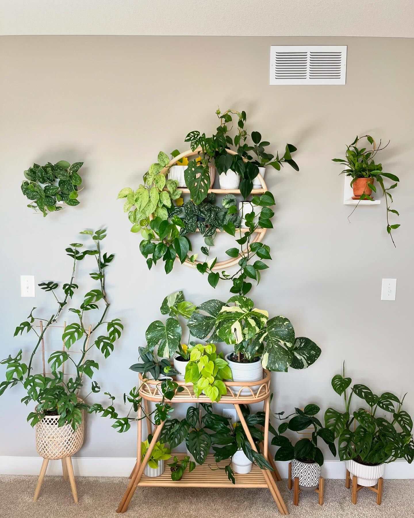 Indoor Plants Decor