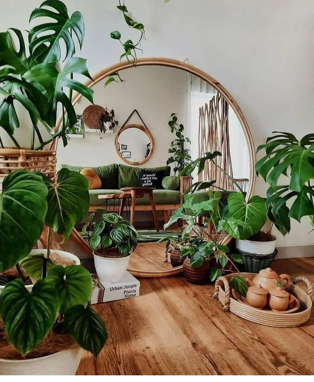 Indoor Plants Decor