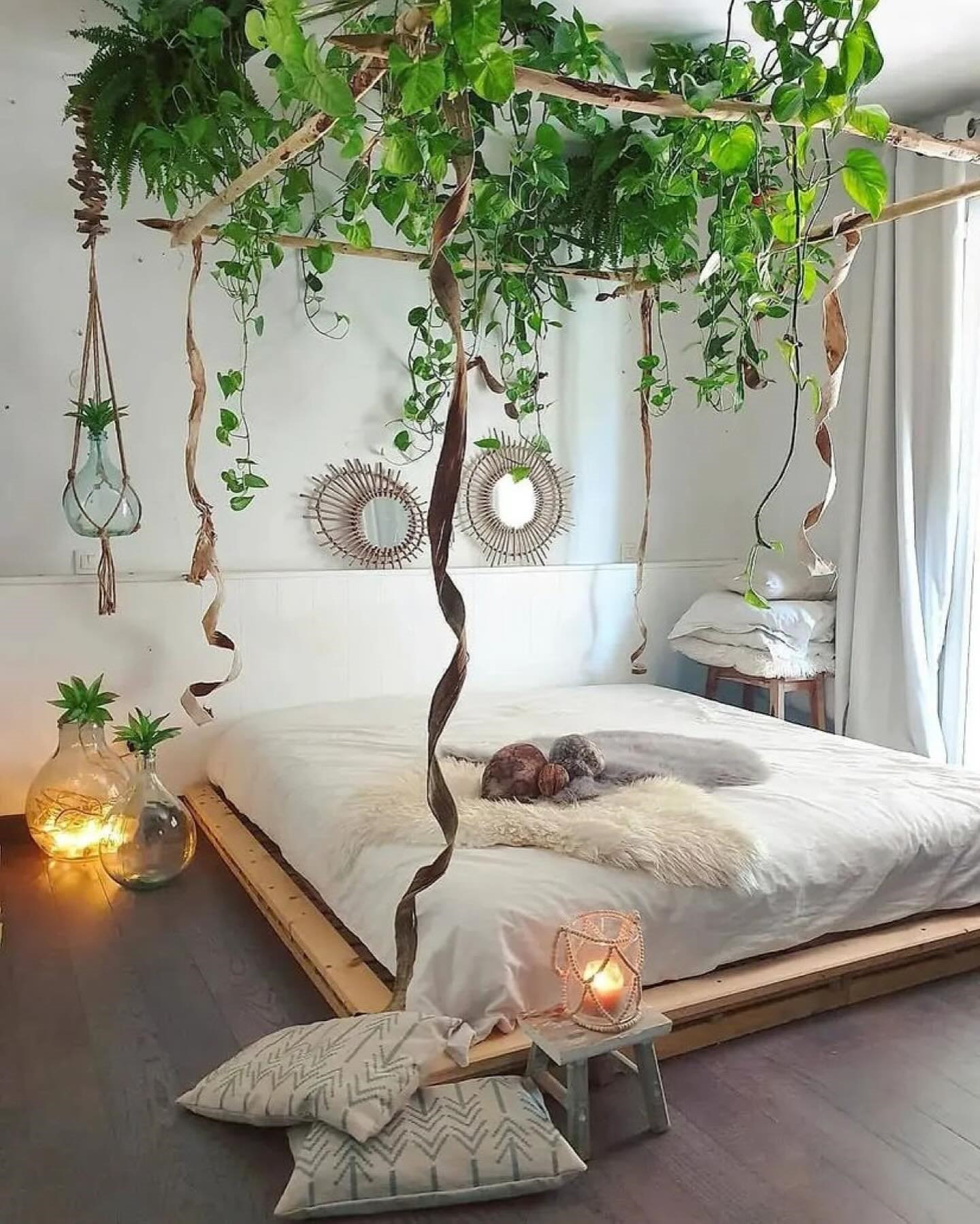 Indoor Plants Decor