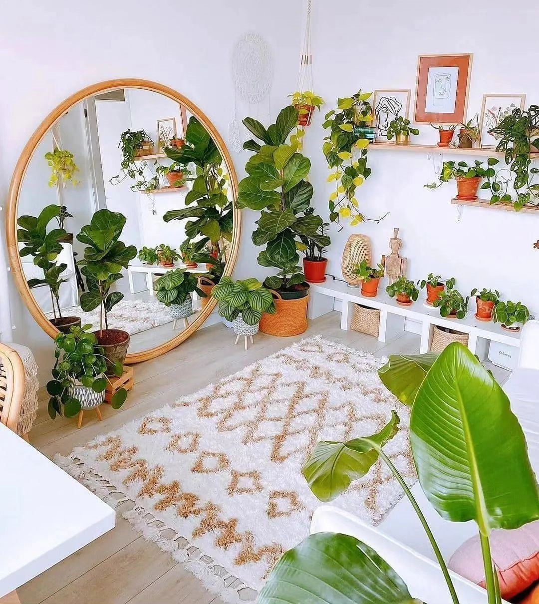 Indoor Plants Decor