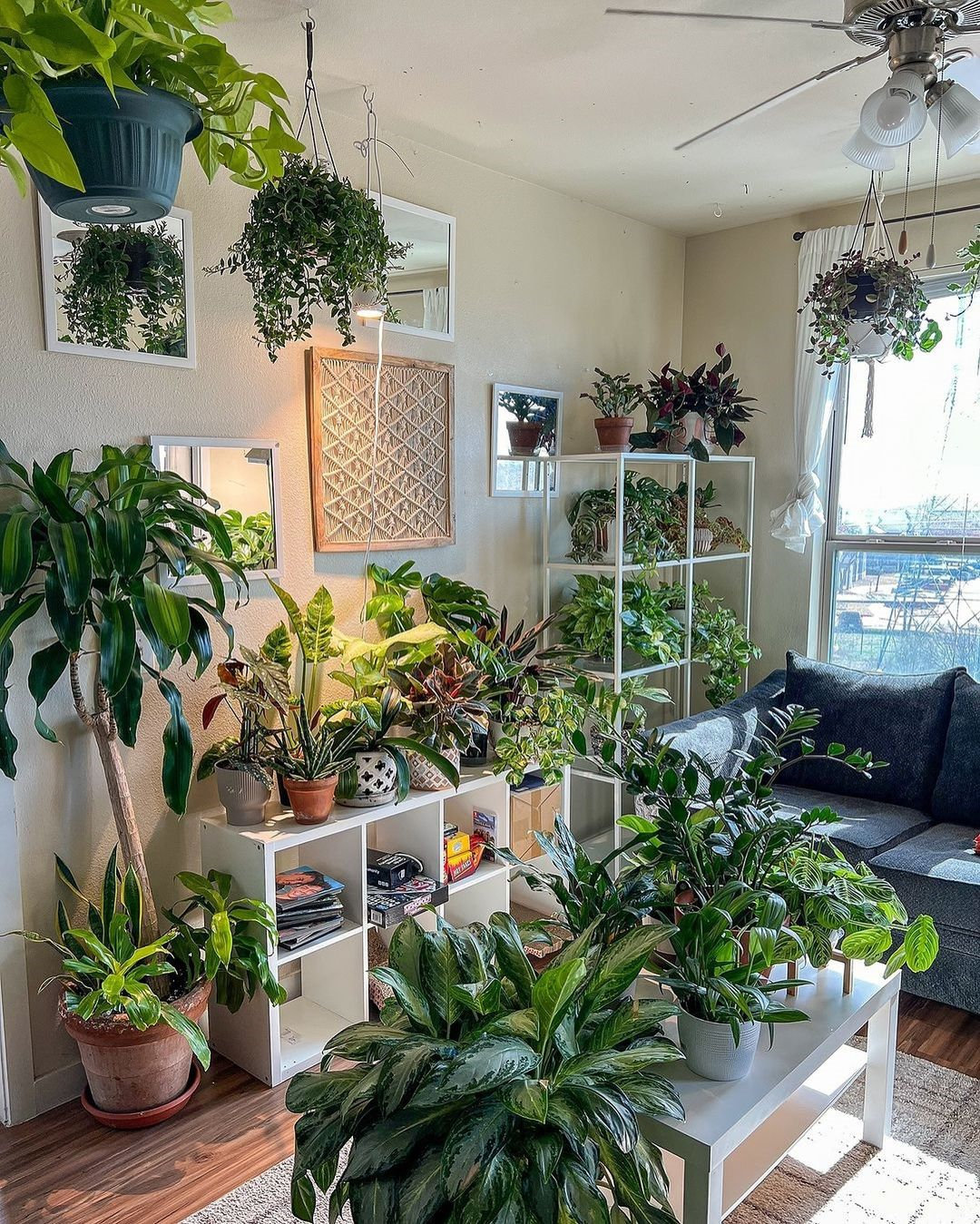 Indoor Plants Decor