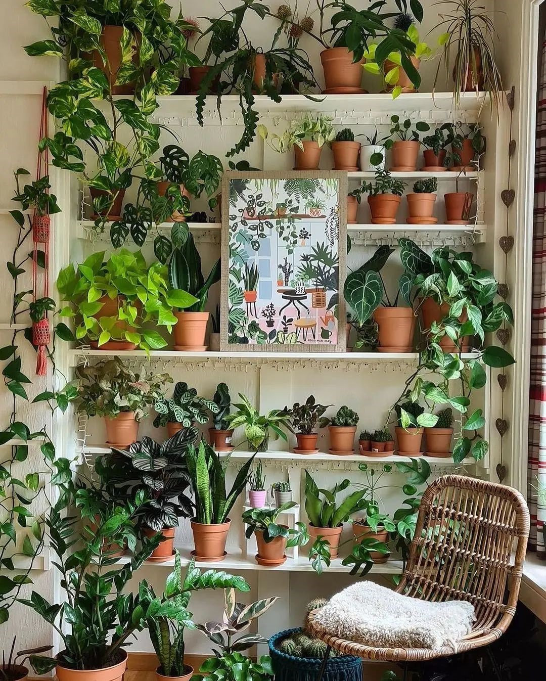 Indoor Plants Decor