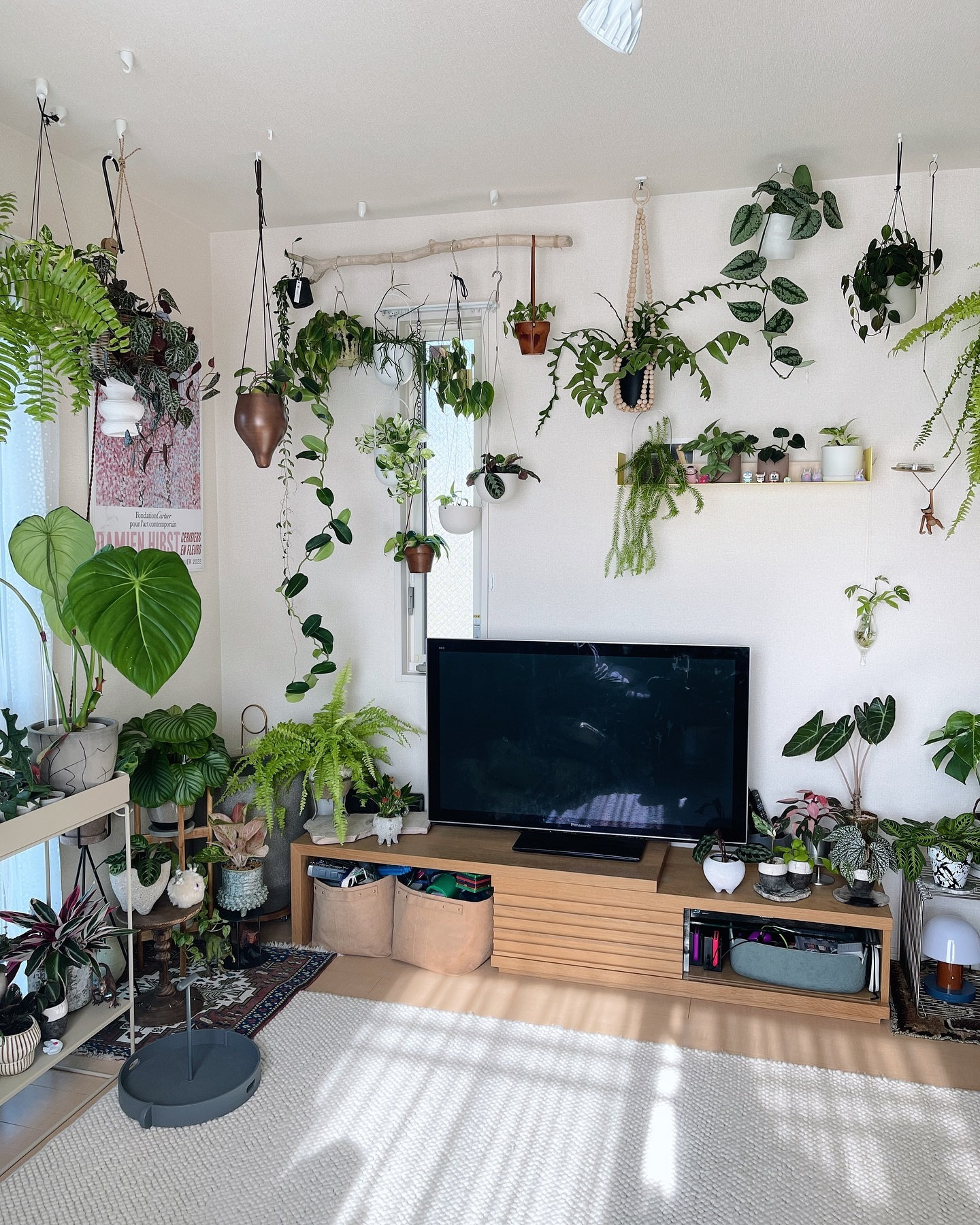 Indoor Plants Decor