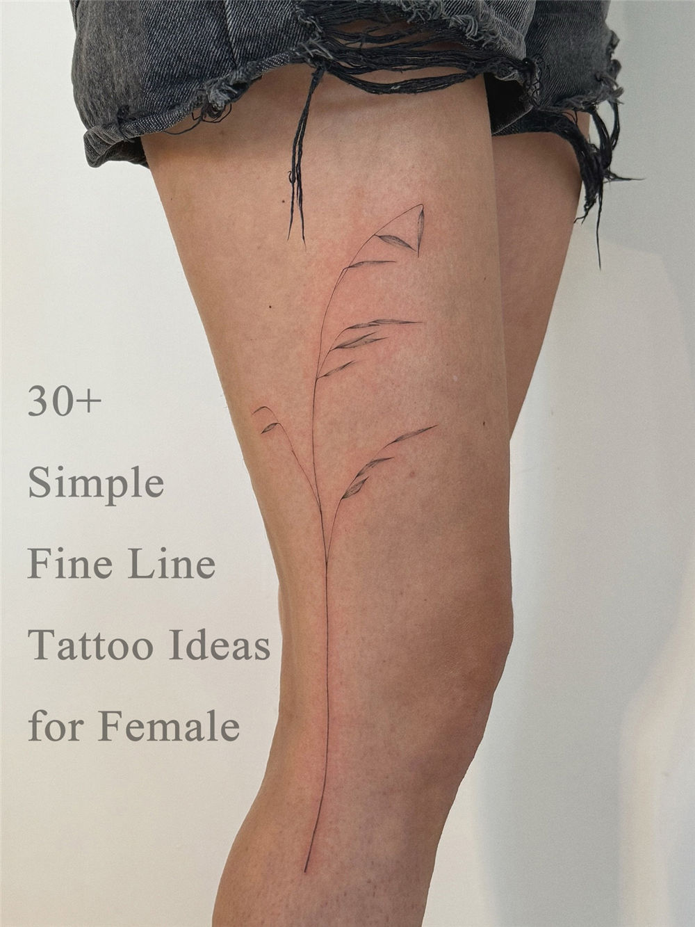 30+ Simple Fine Line Tattoo Ideas for Female
