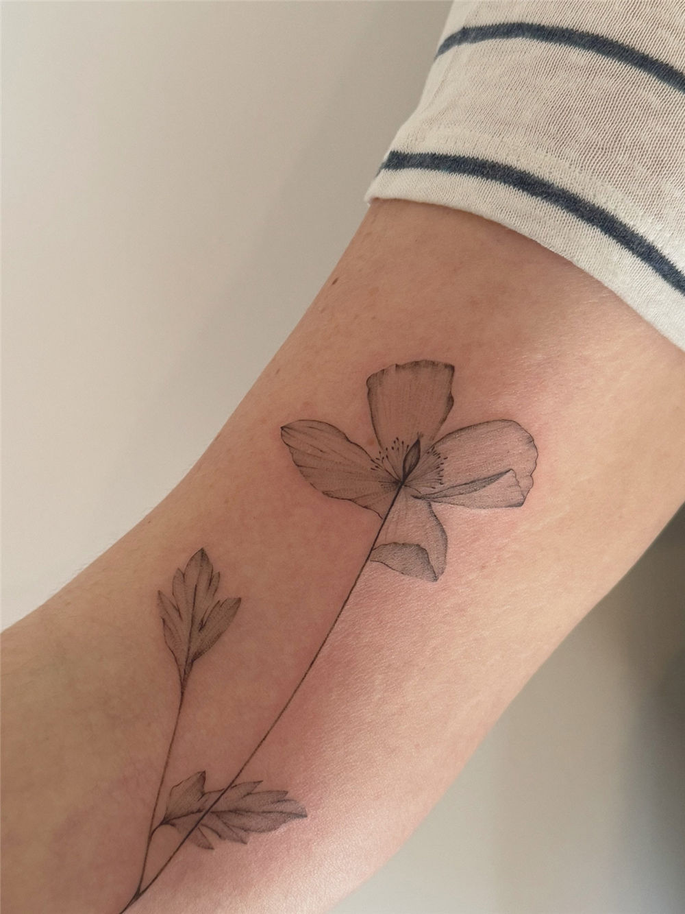30+ Simple Fine Line Tattoo Ideas for Female