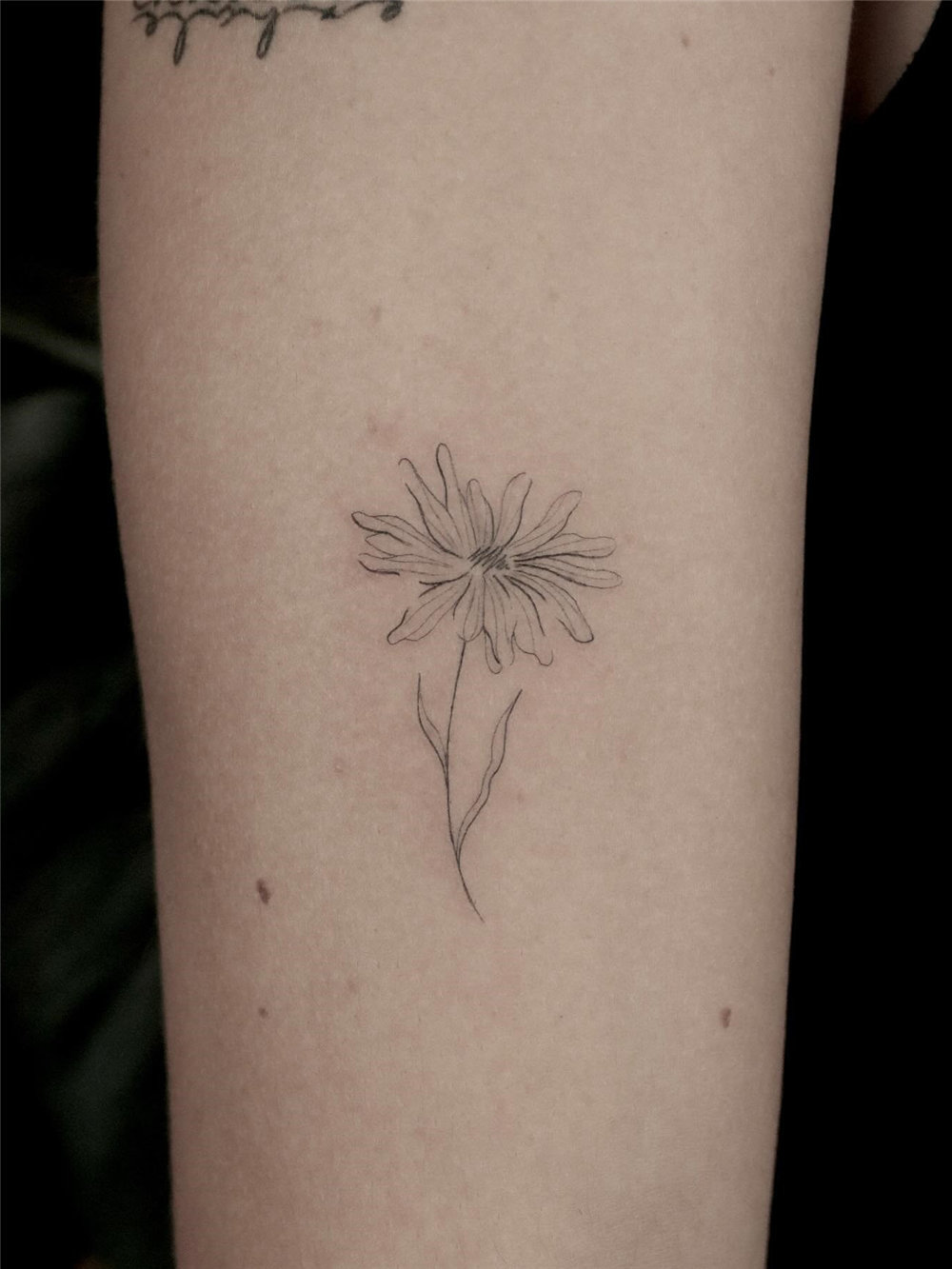 50+ Minimalist Tattoos for Girl with Meaning