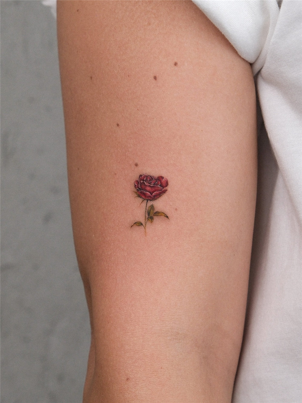 50+ Best Tattoo on Arm Ideas for Women 2025