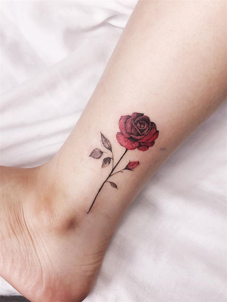 Rose tattoo design for women: we have put together 50+ of the best rose tattoos. I hope everyone can choose their favorite tattoo and enjoy the process. #rosetattoodesign#tattooideas #tattooideasfemale